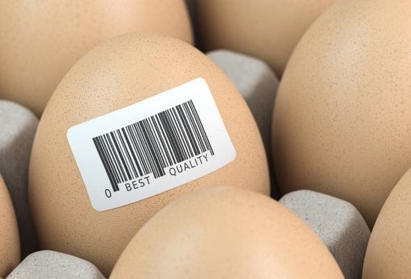 Photo of barcode attached to egg
