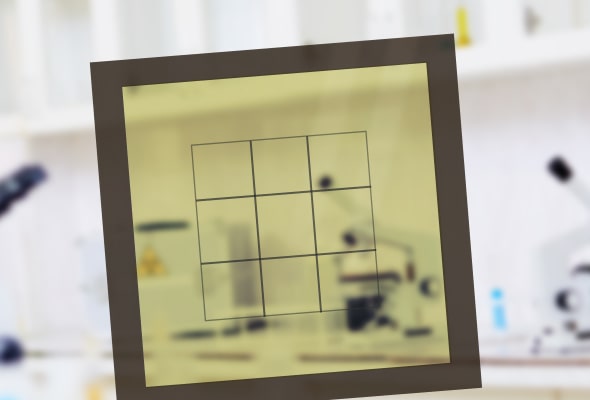 exposure photomask