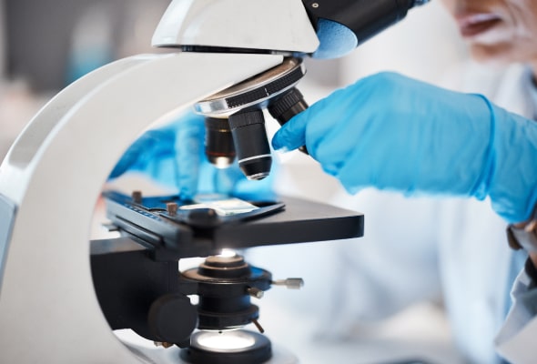 Photo of a person studying under a microscope